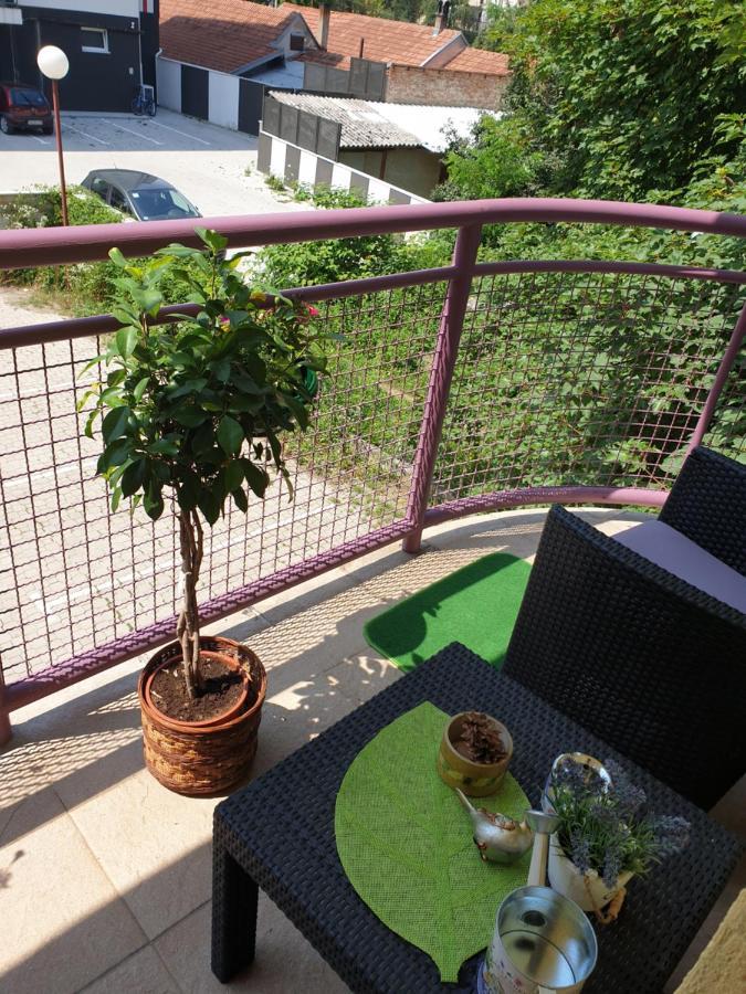 Lux Apartman Cacak Apartment Bagian luar foto